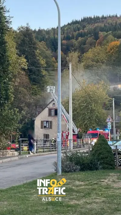 Divers