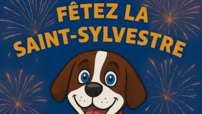 Saint-Sylvestre : des bénévoles pour raccompagner les fêtards en Alsace