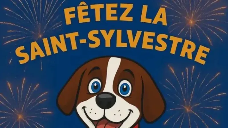 Saint-Sylvestre : des bénévoles pour raccompagner les fêtards en Alsace
