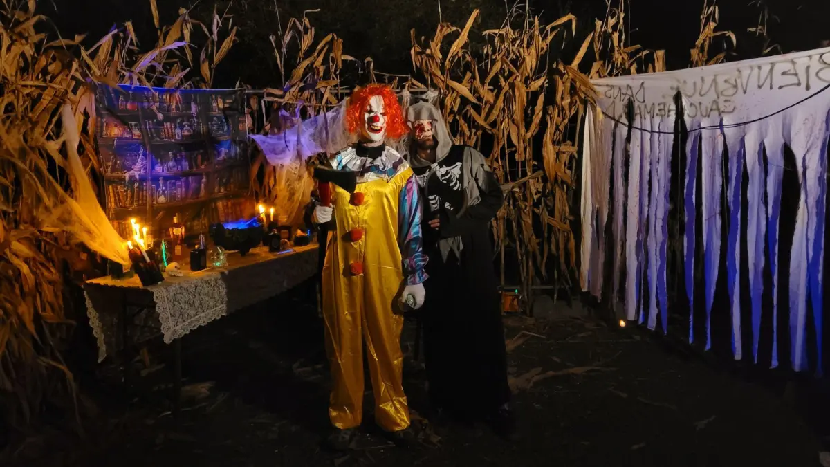 Halloween en Alsace : interdictions, sécurité et restrictions, quelles mesures dans les grandes villes pour la soirée du 31 octobre ?