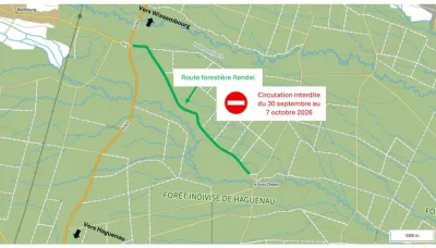 Travaux Haguenau, route forestière de Rendel.