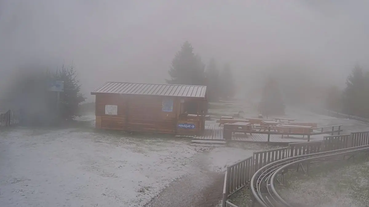 Premiers flocons sur les Vosges : préparez votre véhicule à l'hiver